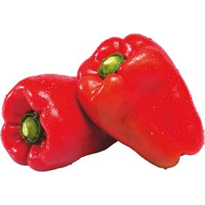 Pimiento Rojo