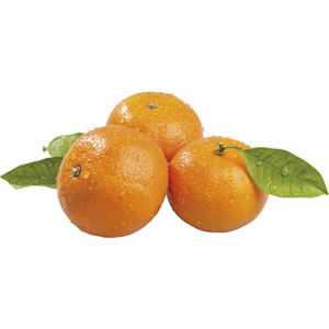 Mandarina Granel