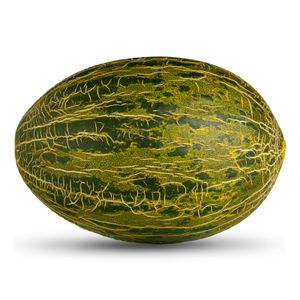 Melón piel de sapo