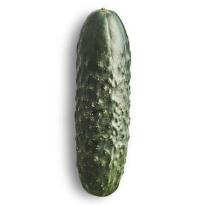 Pepino