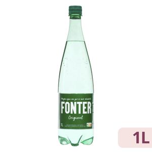 Agua mineral con gas grande Fonter