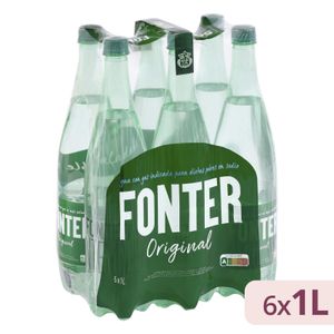 Agua mineral con gas grande Fonter