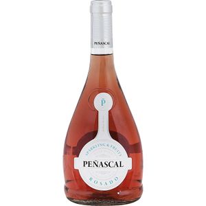 Vino Rosado Aguja V.T.Castilla y León