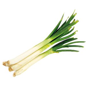 Calçots Manojo