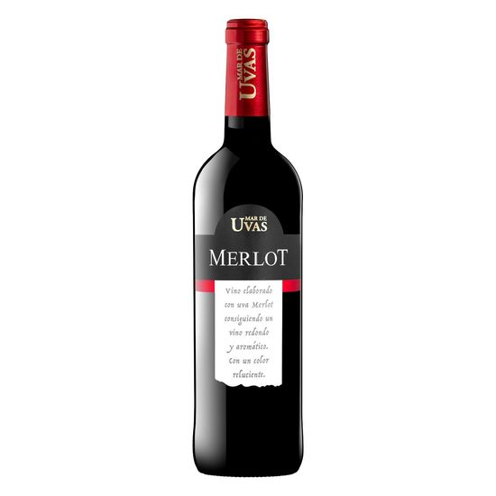 Vino tinto Merlot Mar de Uvas