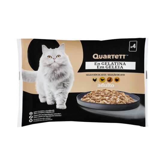 Gelatina gato adulto selección de aves Quartett