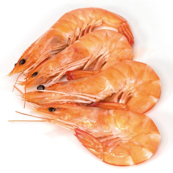 Langostino Cocido