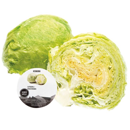 Lechuga Iceberg Peso Aproximado 350 gr