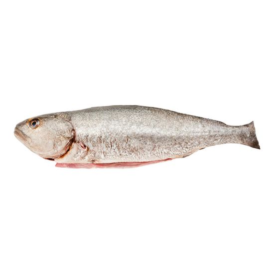 Corvina limpia con cabeza