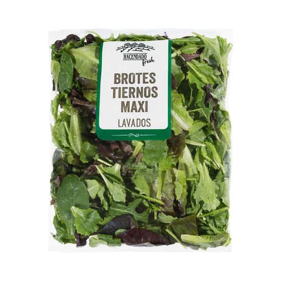 Ensalada mezcla brotes tiernos maxi