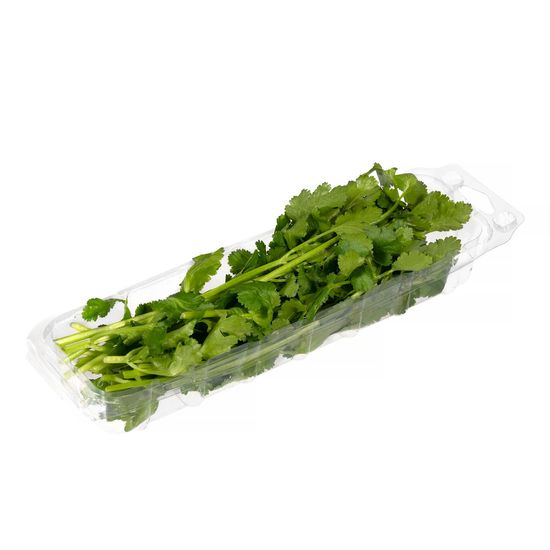 Cilantro